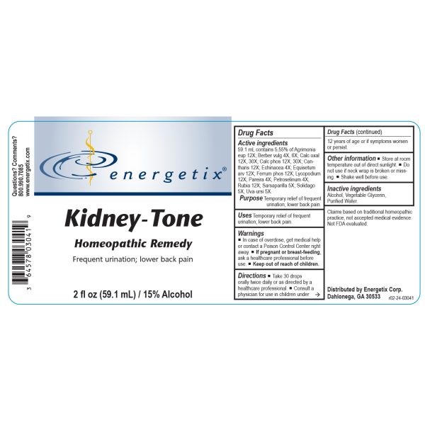 Kidney Tone (2 fl oz) - Advanced Kidney and Urinary Tract Support - Image 2