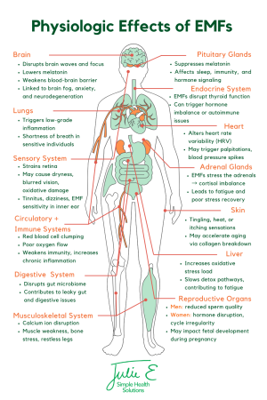 Physiological Effects of EMFs