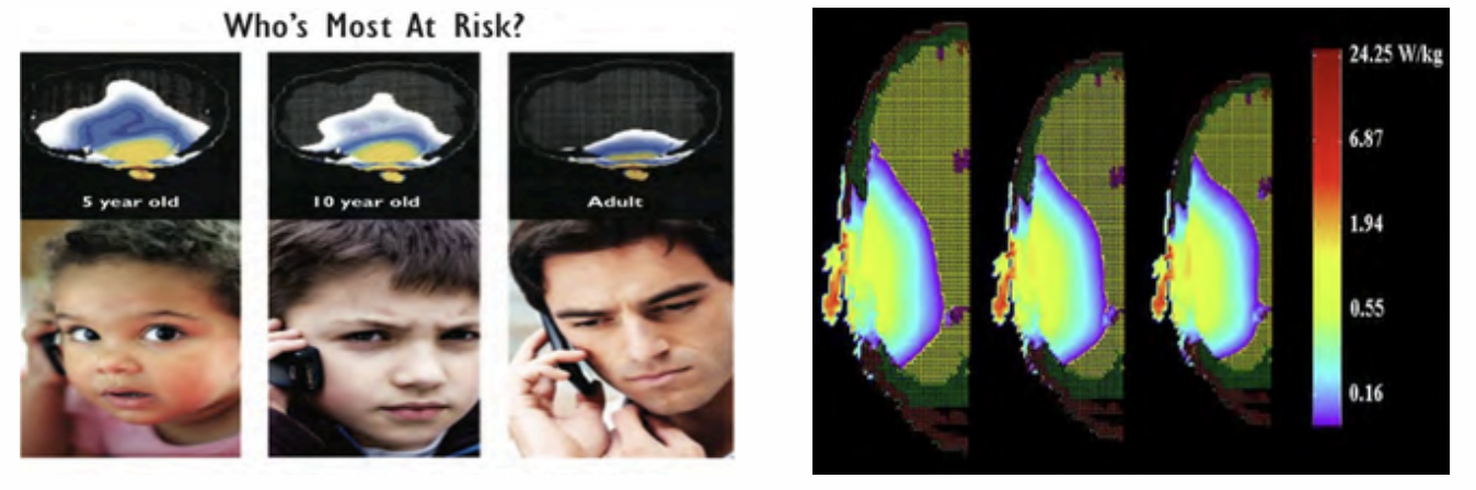 The Truth About Cellphones